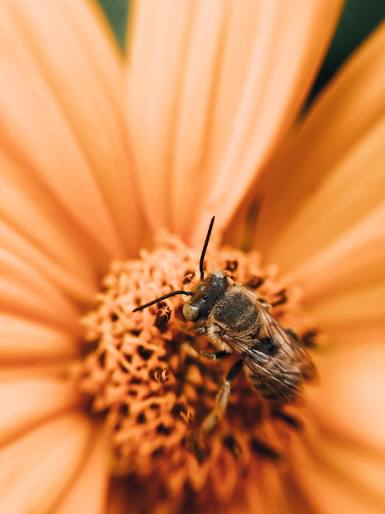 Photograph by Карина Мамлютова