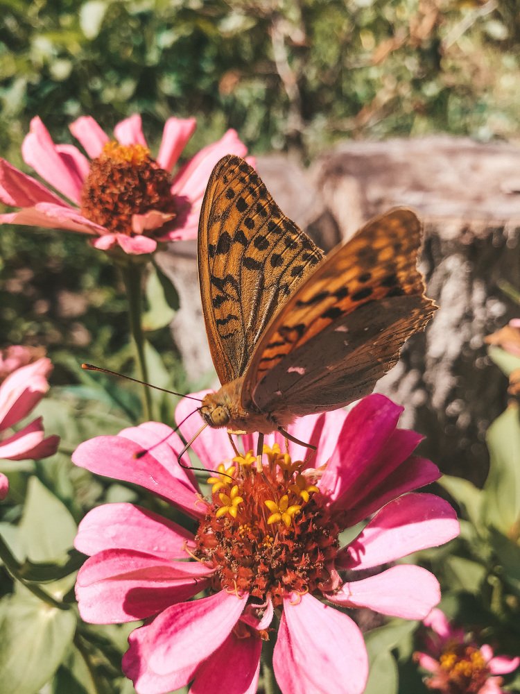 Photograph by Карина Мамлютова