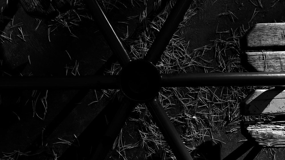 Photograph by Anna Skorokhodova