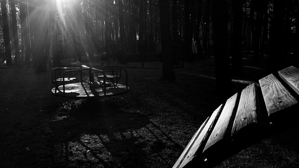 Photograph by Anna Skorokhodova