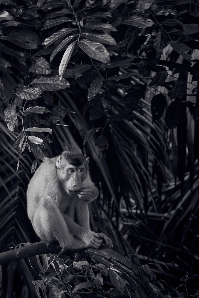 Photograph by amirul shariz