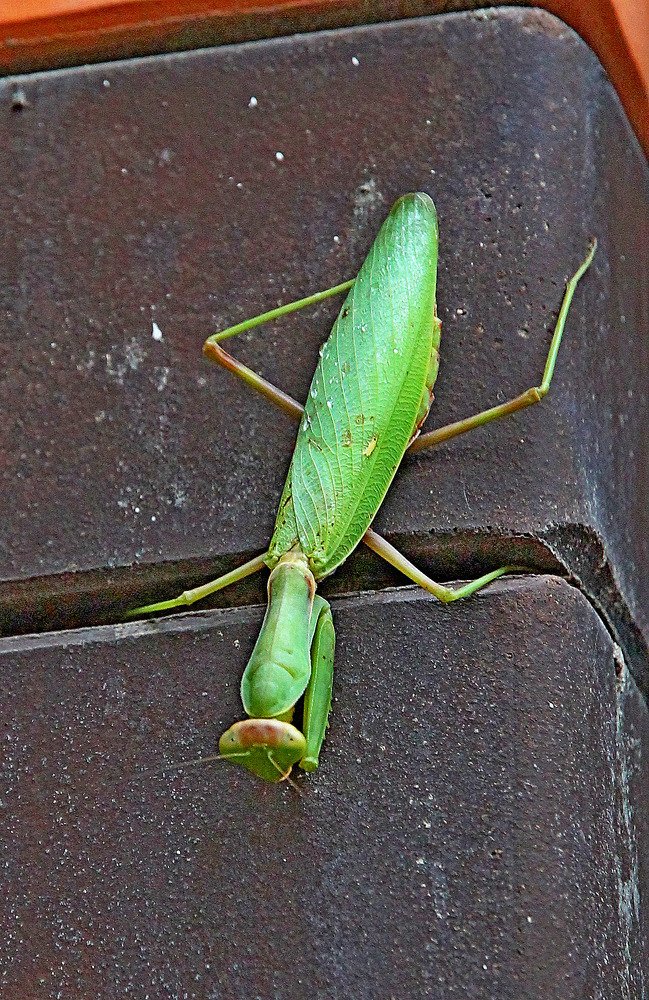 Photograph by Александр Бугаенко