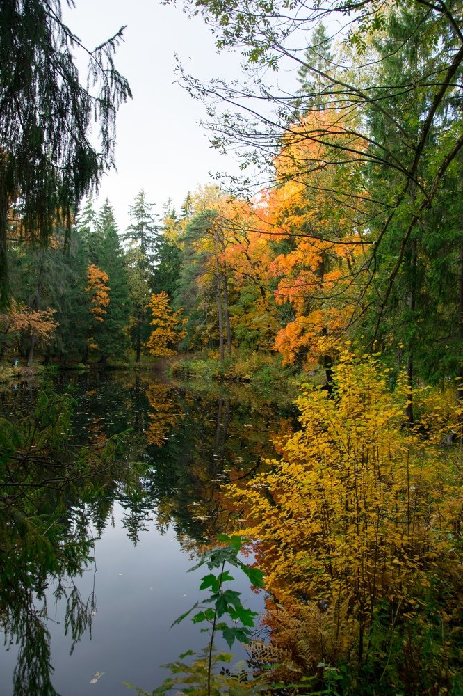 Photograph by Юля Курдова