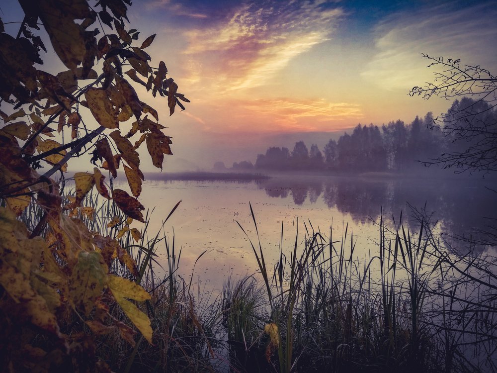 Photograph by Евгений Калагаев