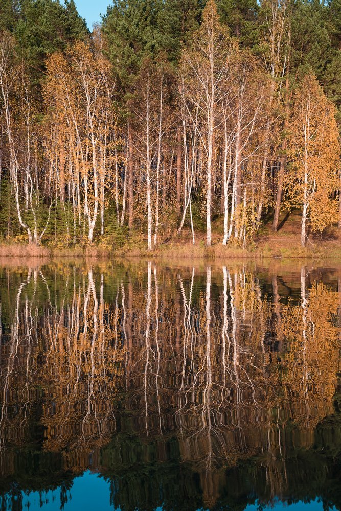 Photograph by Кадырова Анастасия