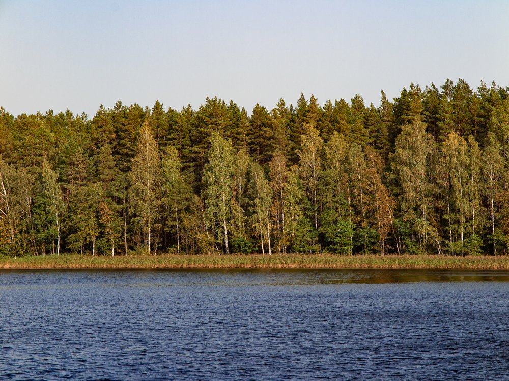 Photograph by Герман Колодный