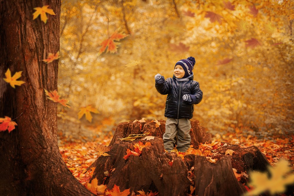 Photograph by Татьяна Реутова