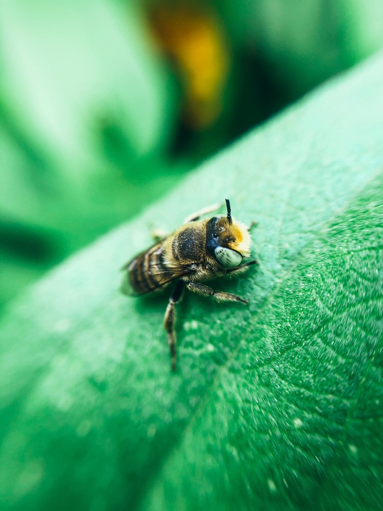 Photograph by Карина Мамлютова