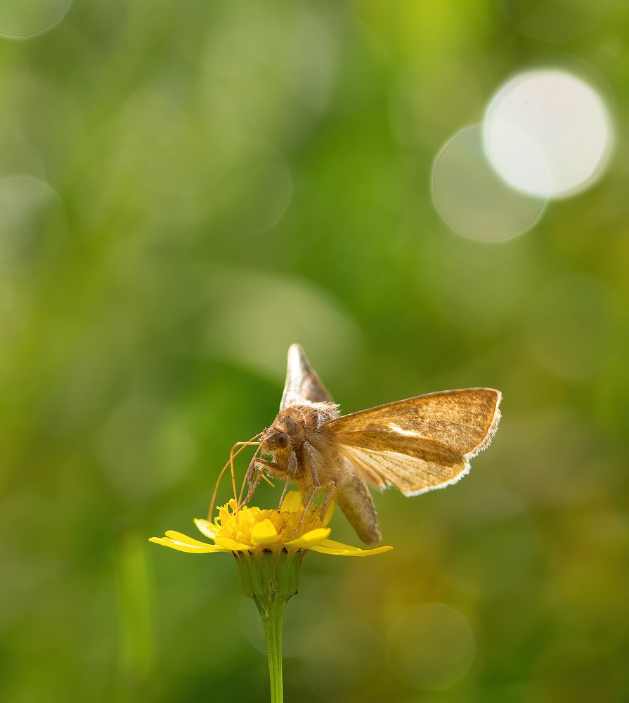 Photograph by Ecel Roja Sandalo