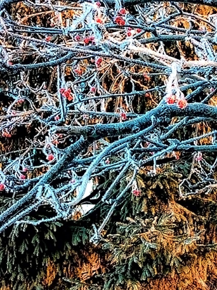 Первый иней