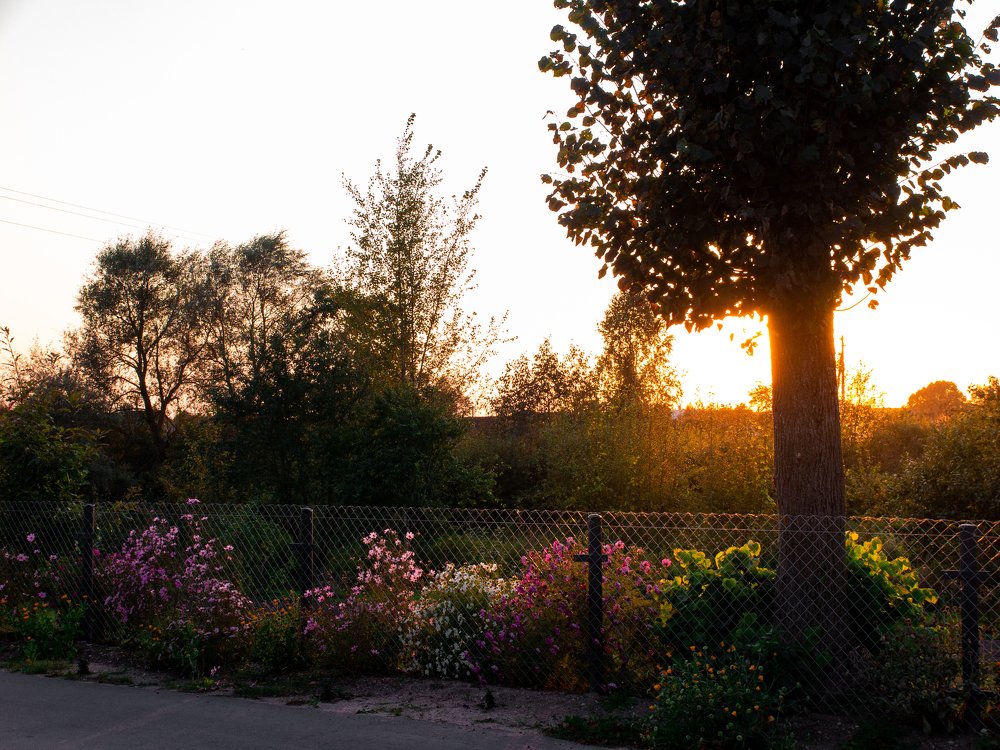 Photograph by Герман Колодный