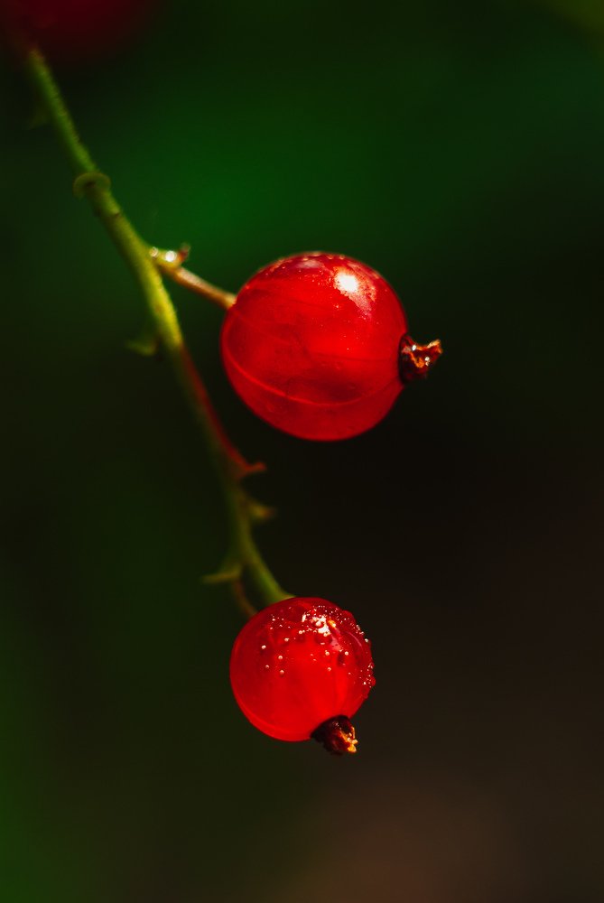 Фотография автора Наталья