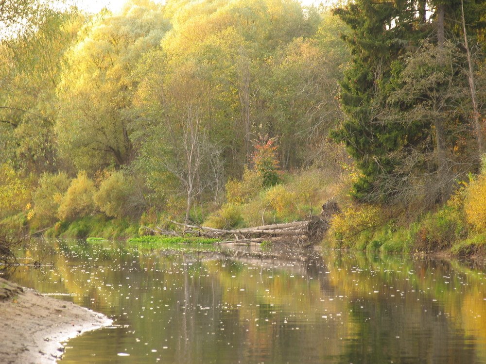 Photo #5093415