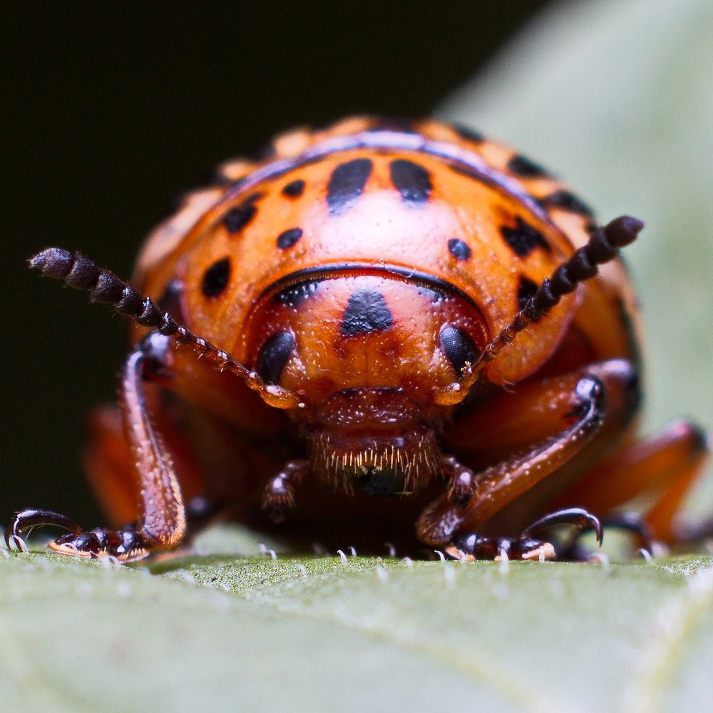 Photograph by Карякин Александр