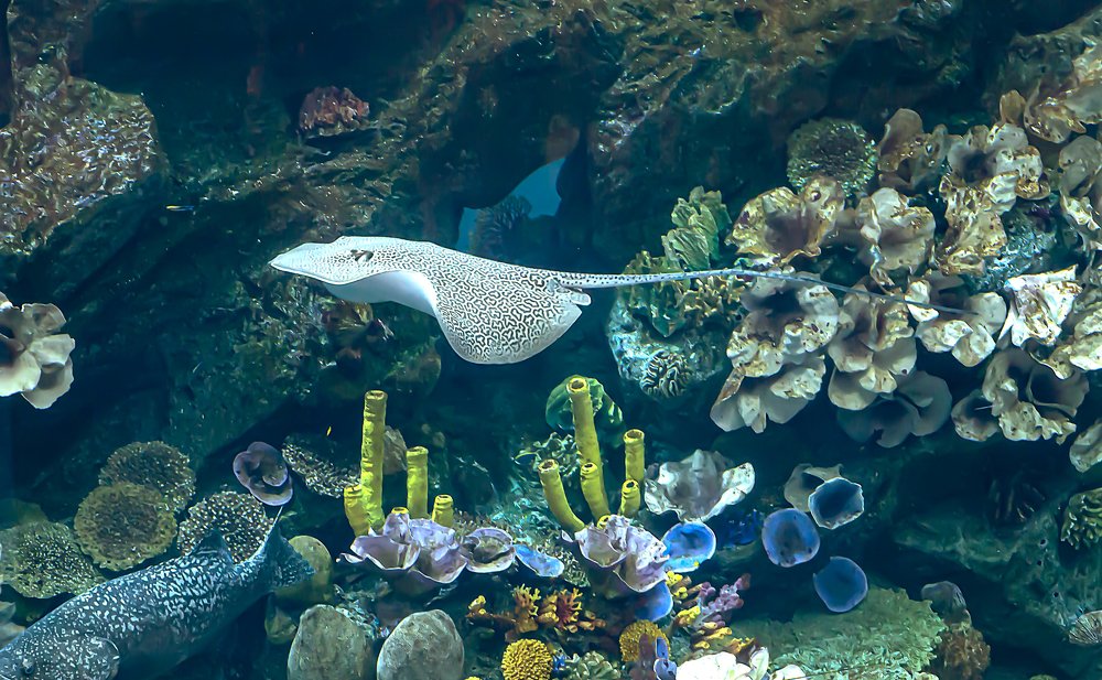 Photograph by Elena Gebert