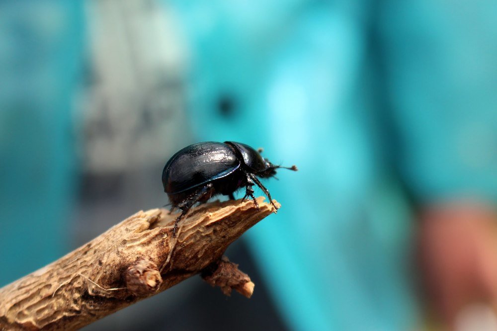 Photograph by Андрей Косенко