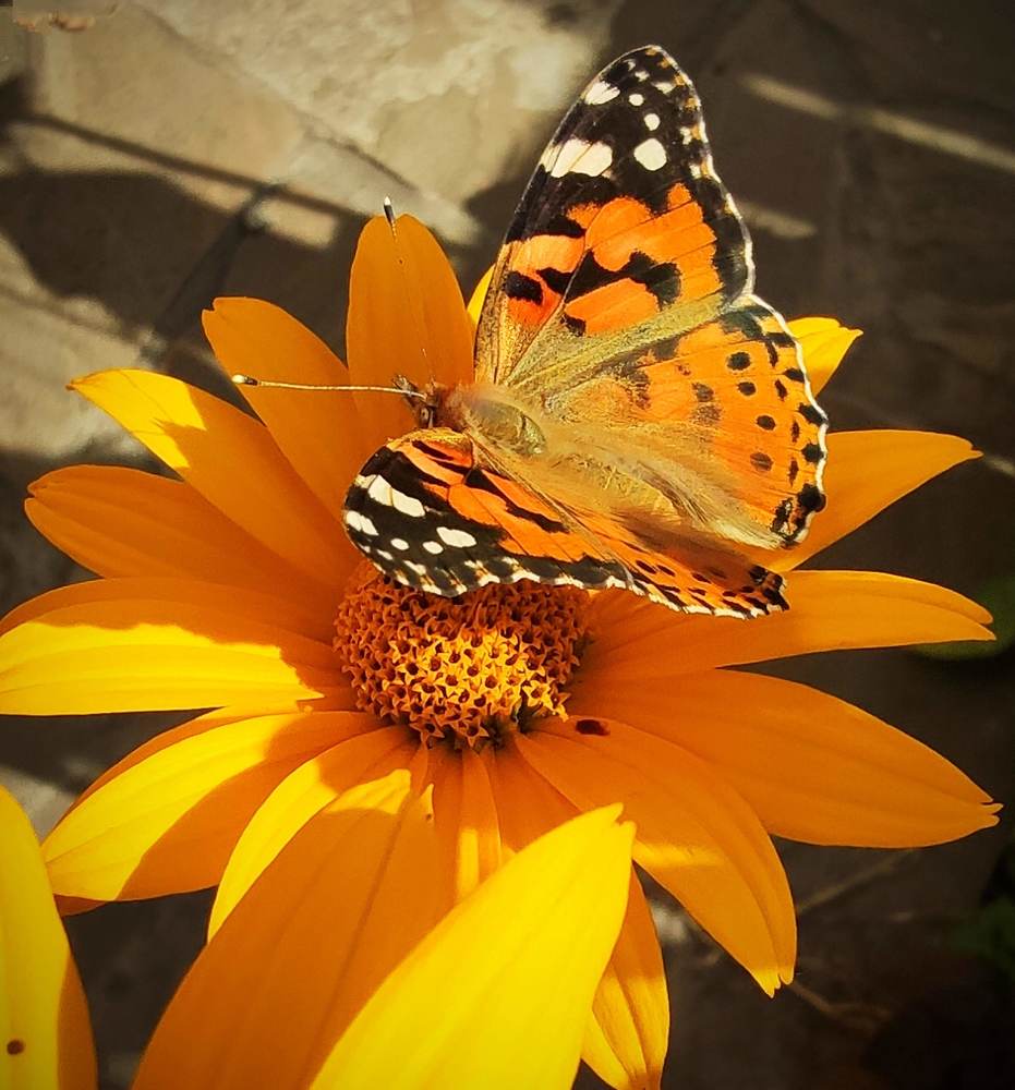 Photograph by Андрей Косенко