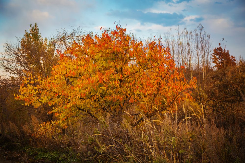 Photograph by Сигида Дмитрий