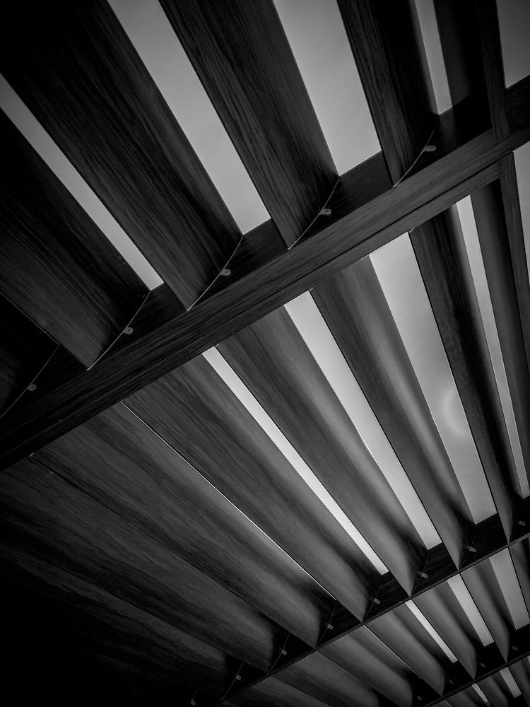 Photograph by Винников Сергей