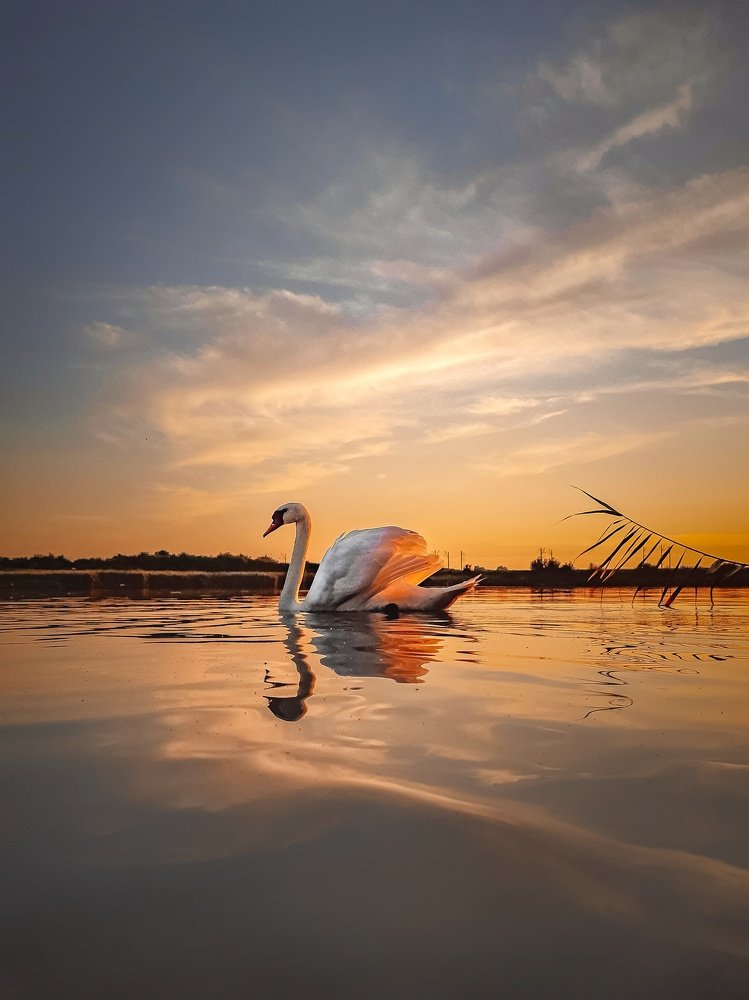 Photograph by Сергей Колос