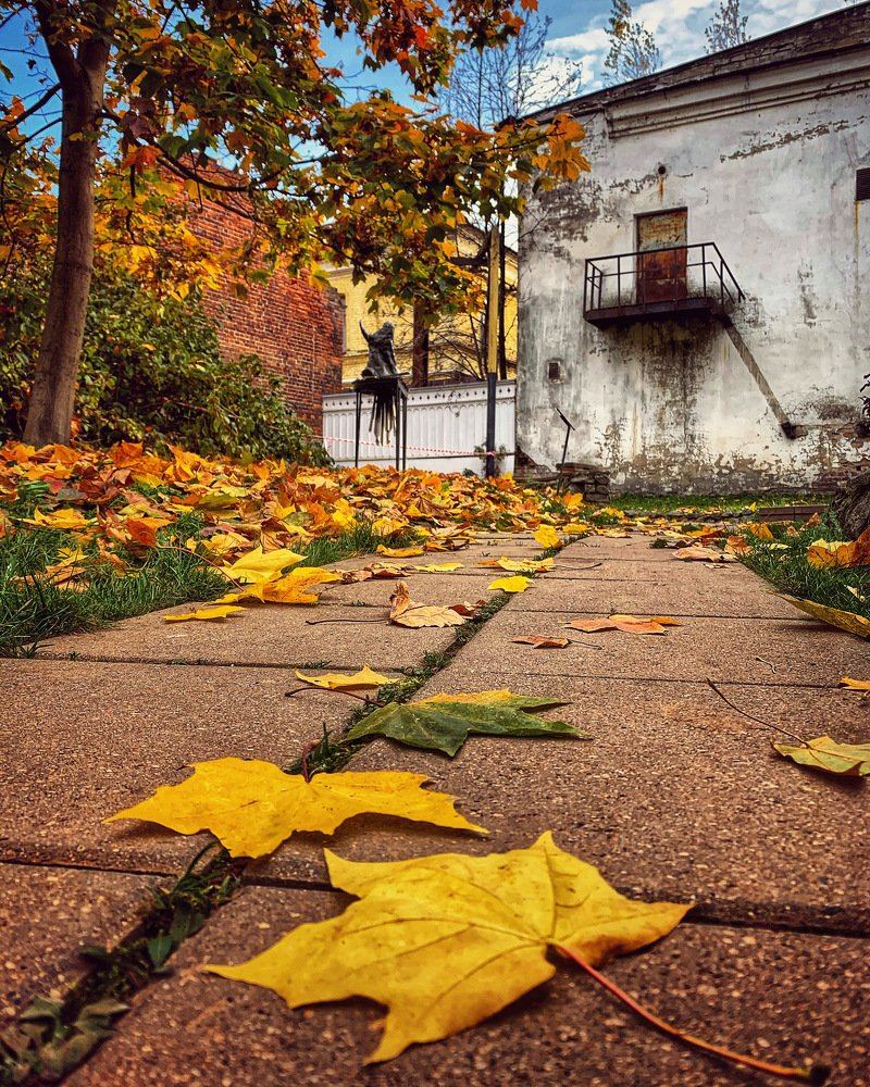 Photograph by Юлия Гусарова