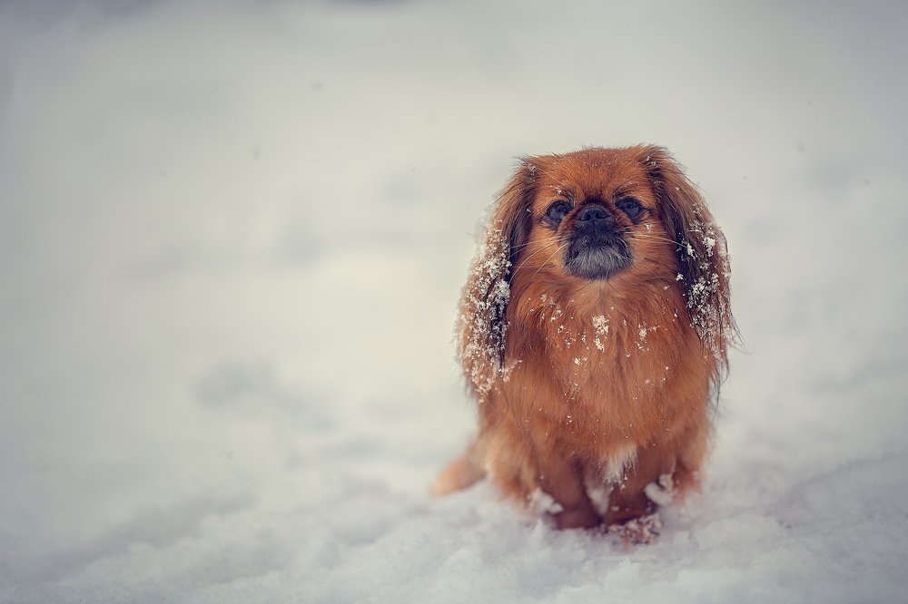 Photograph by Елена Сафронова
