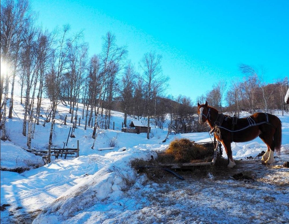 Photograph by Кристина Гареева