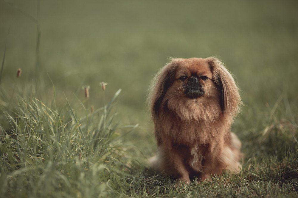 Photograph by Елена Сафронова