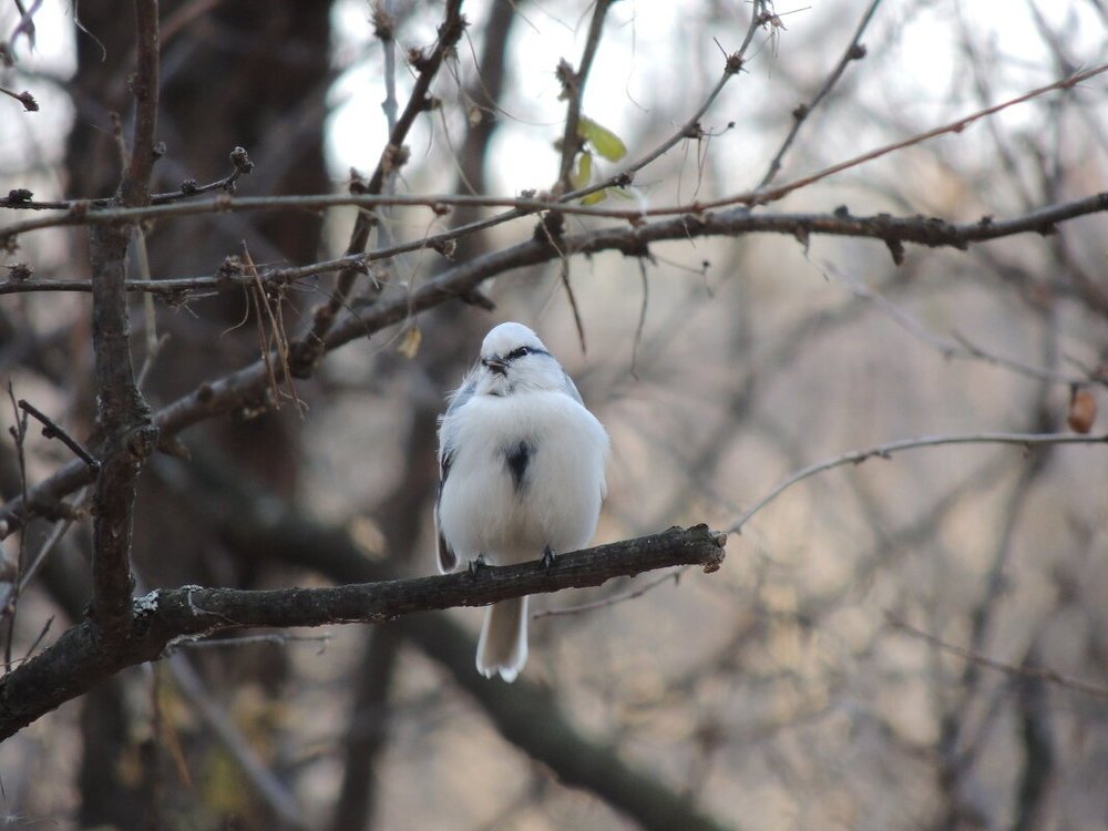 Photograph by Ольга Харламова