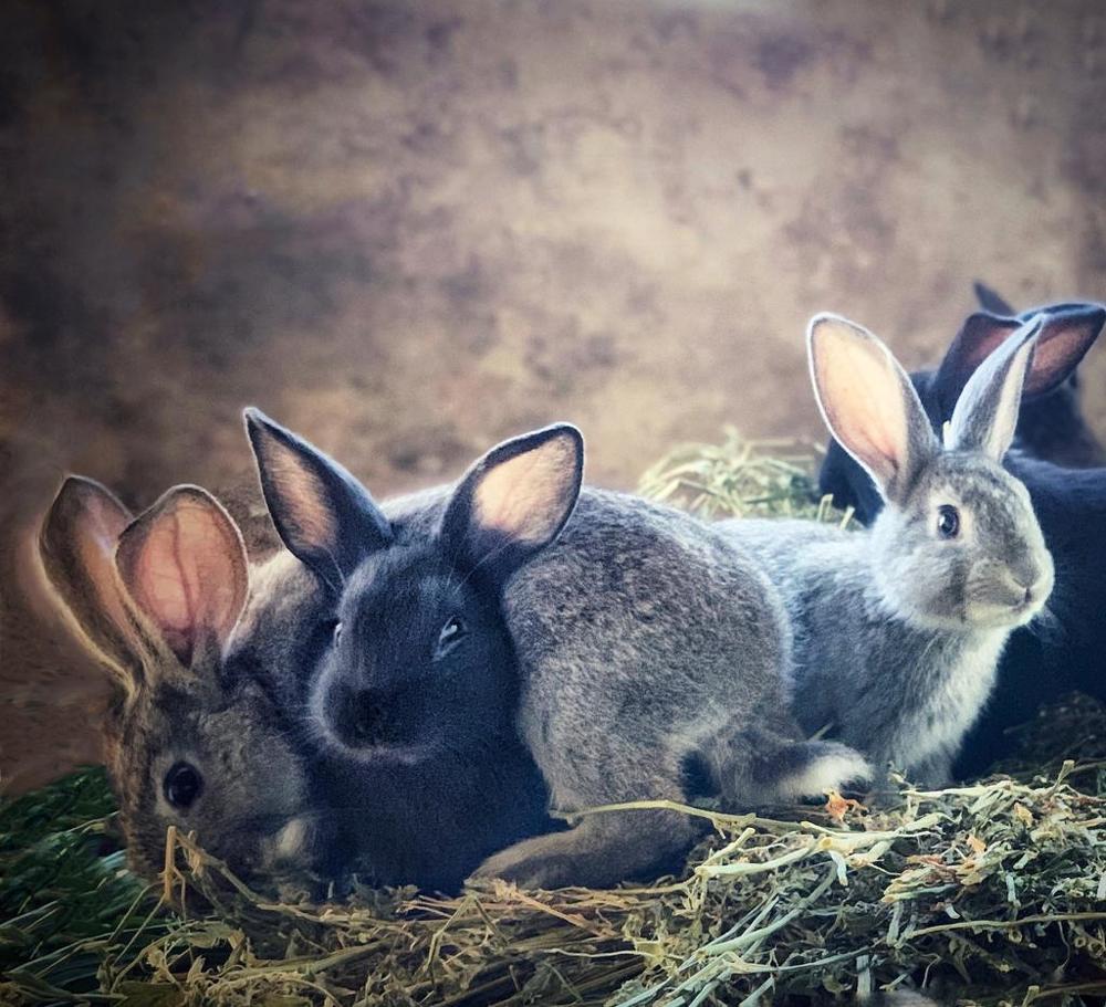 Photograph by Марина Неберекутина