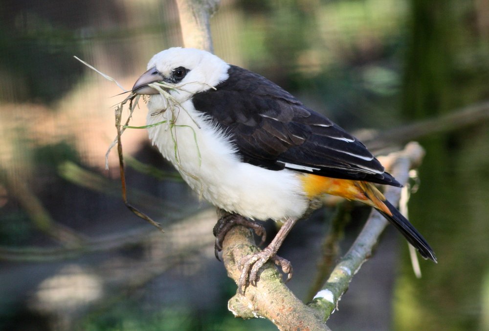 Photograph by Людмила Травина