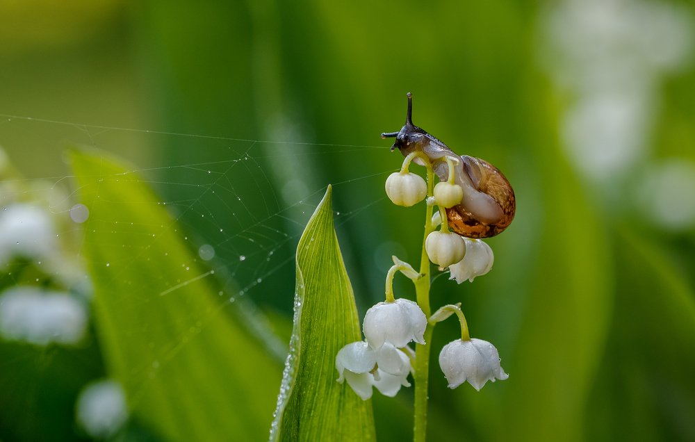 Photograph by Юлия Ершова