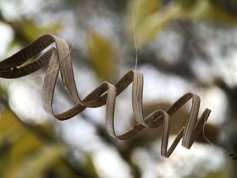 Photograph by людмила жукова