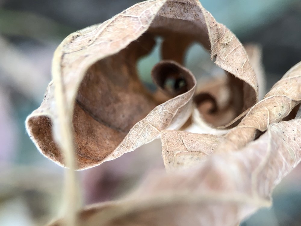 Photograph by людмила жукова