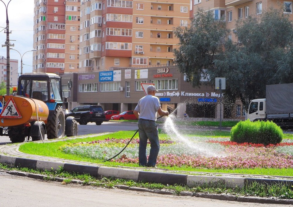 Фотография автора Елена Савельева