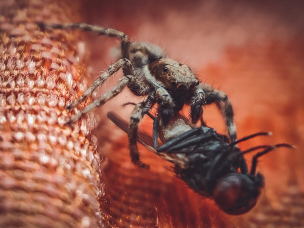 Photograph by Sudhanshu Banotiya