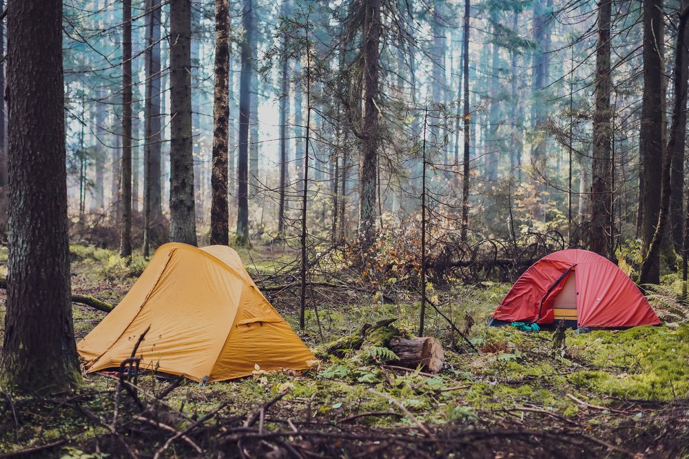 Photograph by Полина Нечаева