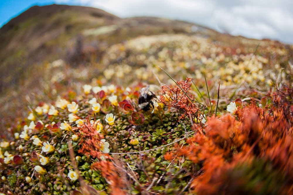 Photograph by Семён Муратов