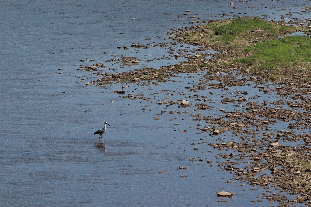 Photograph by Андрей Телибаев