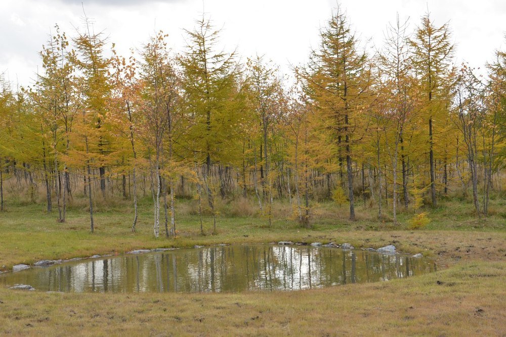 Фотография автора Станислав Ермолин