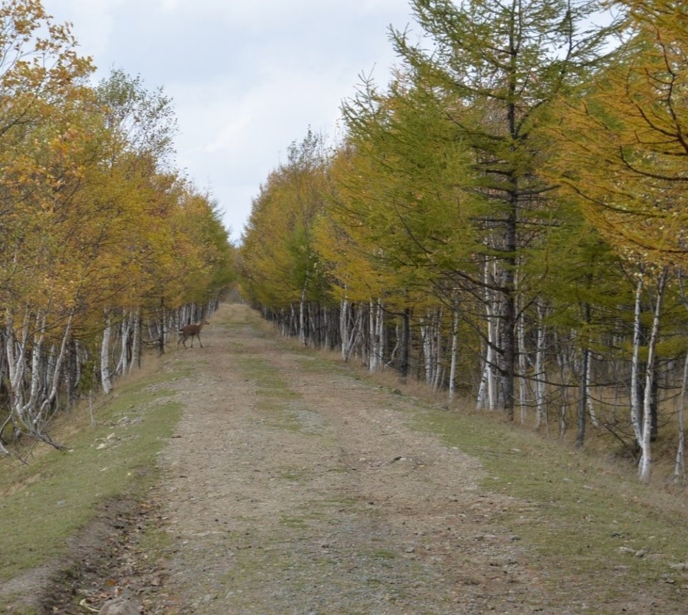Фотография автора Станислав Ермолин
