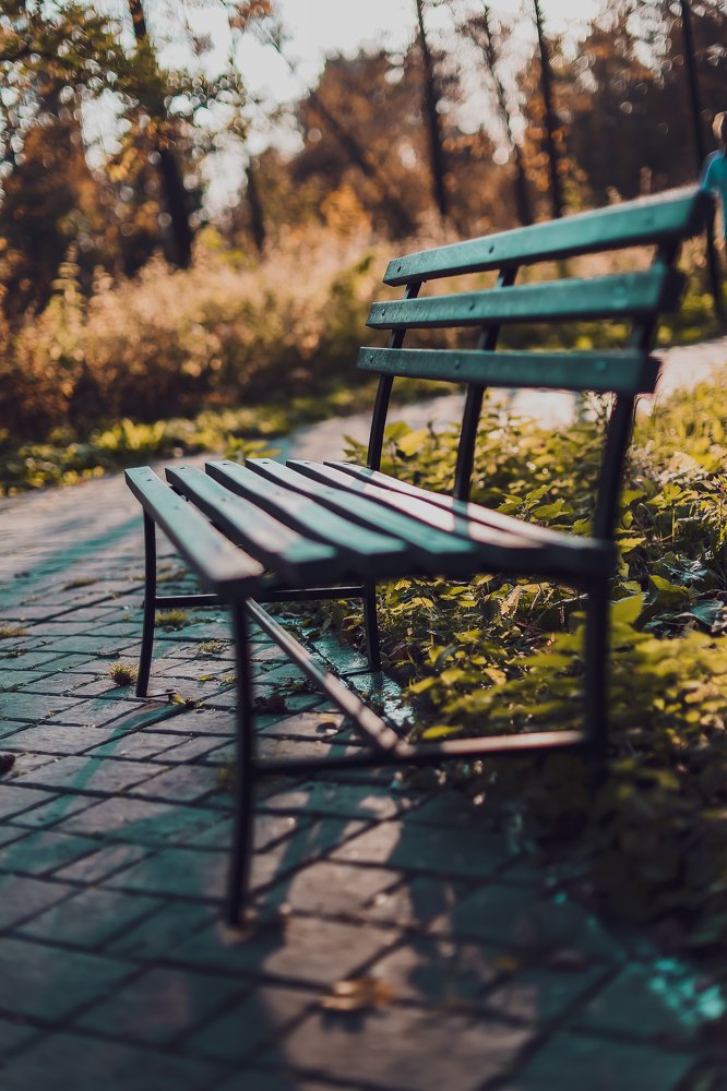 Photograph by Полина Нечаева