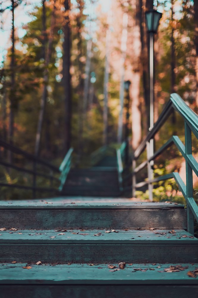 Photograph by Полина Нечаева