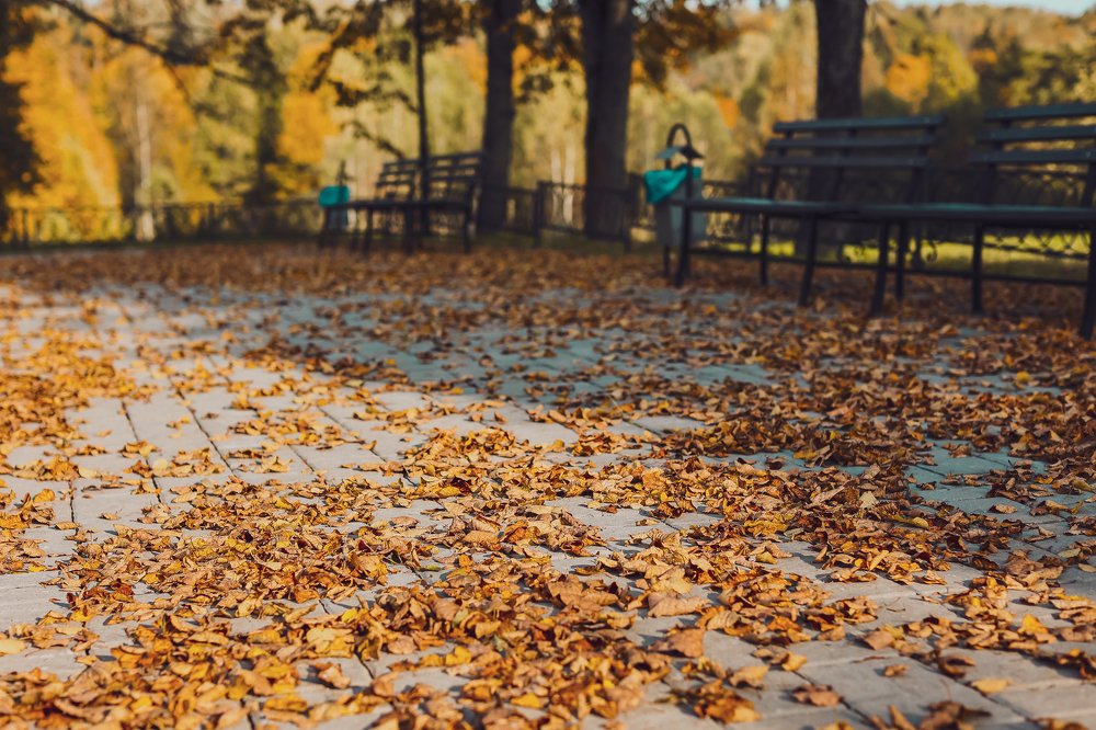 Photograph by Полина Нечаева