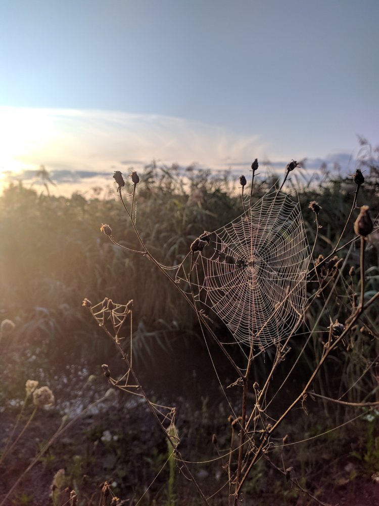 Photograph by Алена Фурман