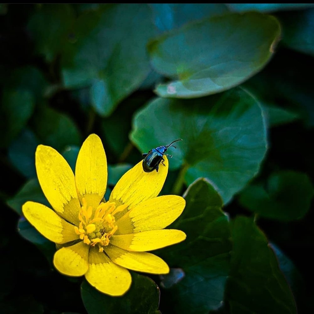 Photograph by Карина Берещанская