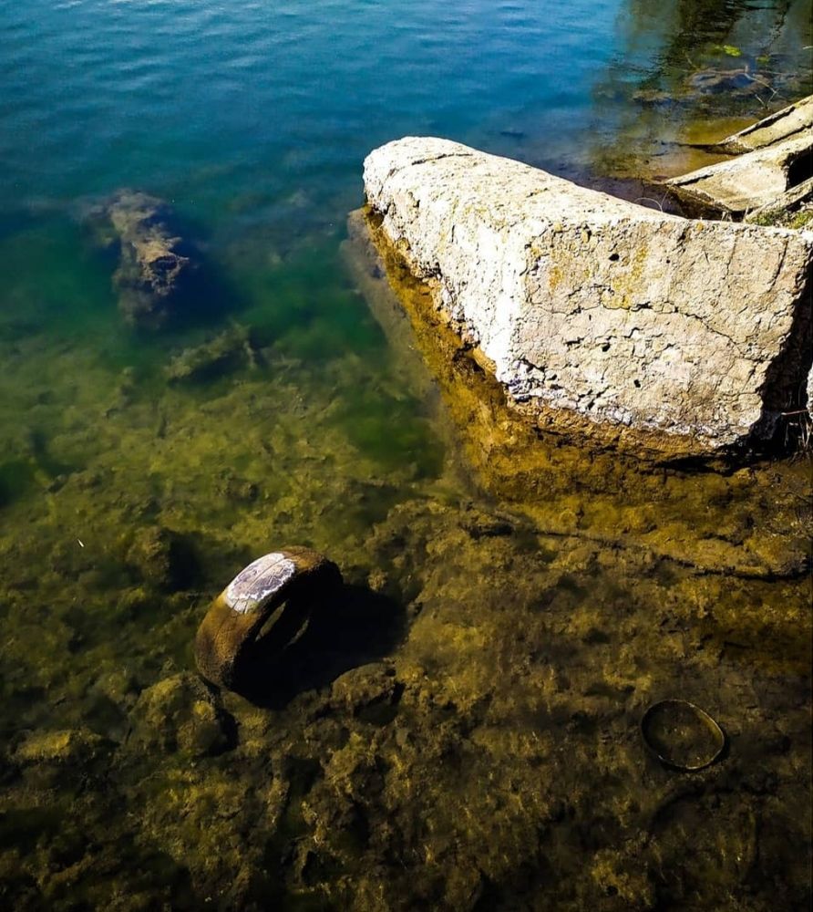 Photograph by Карина Берещанская