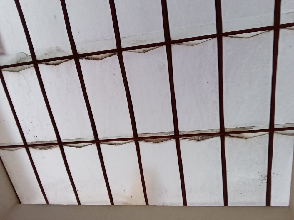 Photograph by Francisco Ferreira