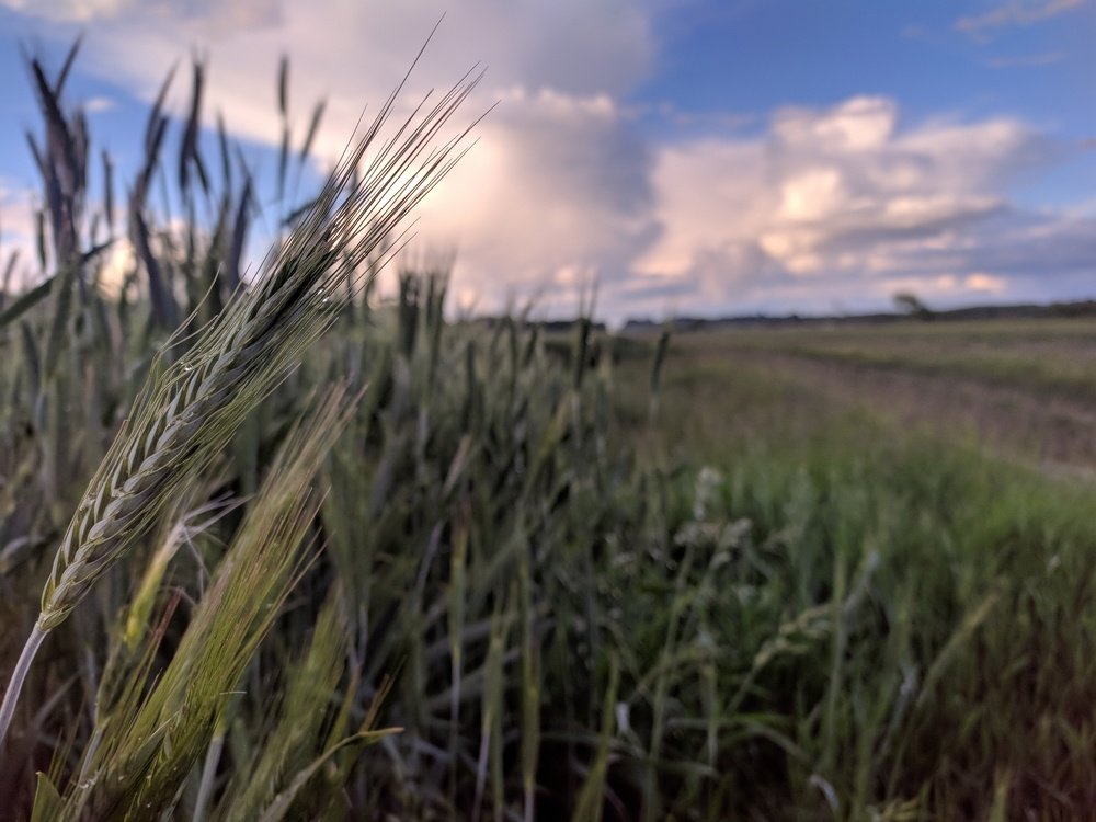 Photograph by Алена Фурман