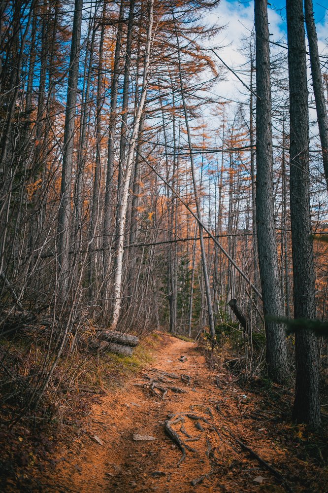 Photograph by Семён Муратов